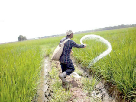 Agriculture Sector: Key Initiatives for Fiscal Year 2023-24 Agriculture Sector: Key Initiatives for Fiscal Year 2023-24