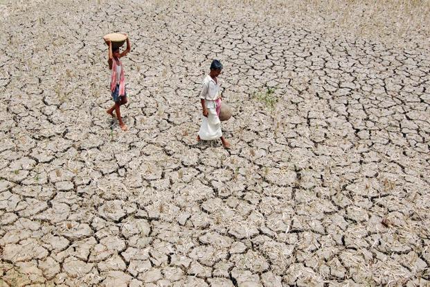Weaker Monsoon Forecast: Asia’s Food & Global Market Impact Weaker Monsoon Forecast: Impact on Asia's Food Production & Global Markets